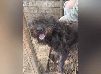 Beneth - sucht ihre Familie!