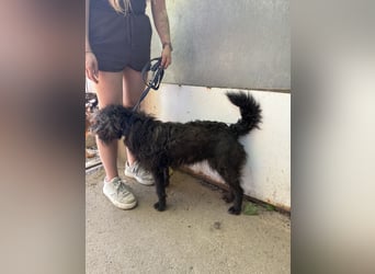 Beneth- Sie bringt eine extra Portion Lebensfreude mit