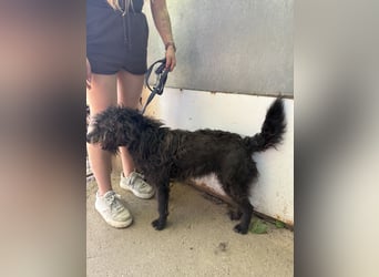 Beneth wartet sehnsüchtig auf ihre Familie