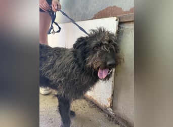 Beneth wartet sehnsüchtig auf ihre Familie