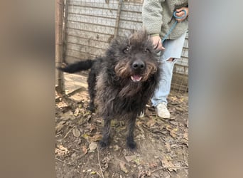 Beneth- Sie bringt eine extra Portion Lebensfreude mit