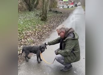 Rongy wurde völlig verwahrlost gefunden