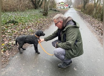 Rongy wurde völlig verwahrlost gefunden