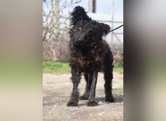 Cordula - anfangs skeptisch, zeigt dann aber ihren liebenswerten Charakter