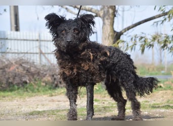 Cordula - anfangs skeptisch, zeigt dann aber ihren liebenswerten Charakter