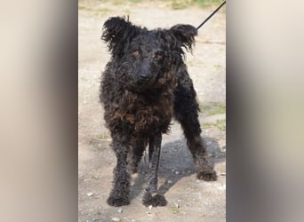 Cordula - anfangs skeptisch, zeigt dann aber ihren liebenswerten Charakter