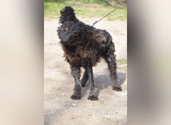 Cordula - anfangs skeptisch, zeigt dann aber ihren liebenswerten Charakter