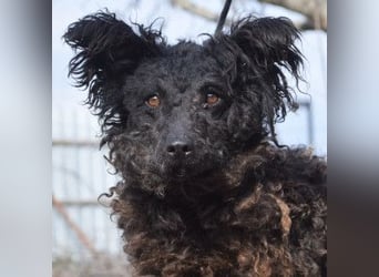 Cordula - anfangs skeptisch, zeigt dann aber ihren liebenswerten Charakter