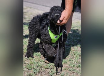 Flohkus entdeckt mit Begeisterung Neues