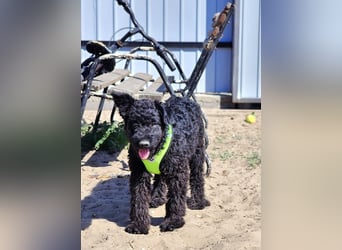 Flohkus entdeckt mit Begeisterung Neues