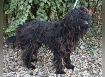 Godo wäre fast erfroren ...