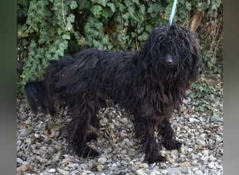 Godo wäre fast erfroren ...