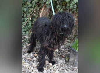 Godo wäre fast erfroren ...