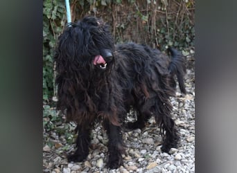 Godo wäre fast erfroren ...