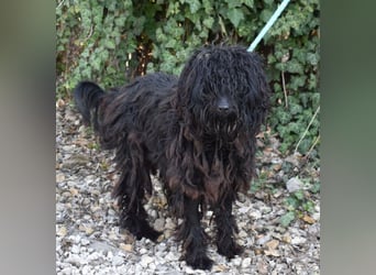 Godo wäre fast erfroren ...