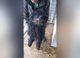 Rambo-PP, wo sind seine Menschen?