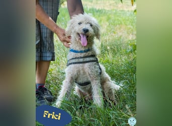 Frici SI, sehr offen und freundlich