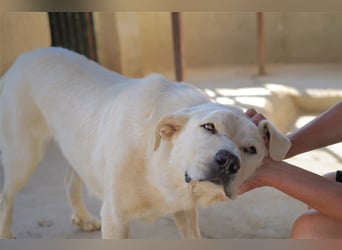 Bunti-wartet auf ein XXL-Körbchen