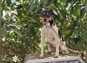 Heidi steckt voller Lebensfreude und Neugier