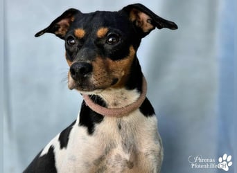 Heidi steckt voller Lebensfreude und Neugier