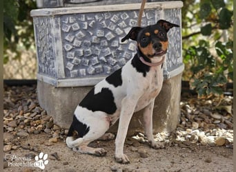 Heidi steckt voller Lebensfreude und Neugier