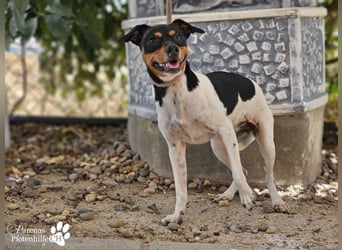 Heidi steckt voller Lebensfreude und Neugier