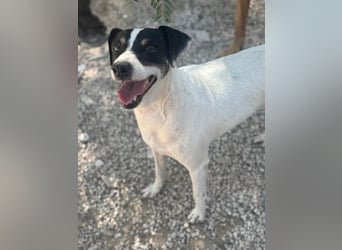 Pepa, menschenbezogen und sozial