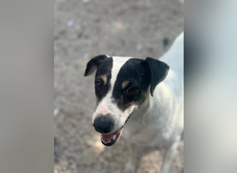 Pepa, menschenbezogen und sozial