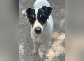 Pepa, menschenbezogen und sozial