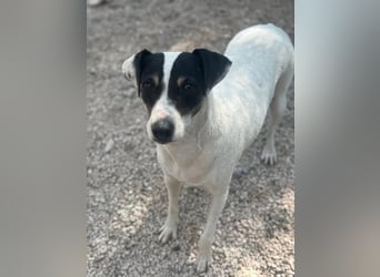 Pepa, menschenbezogen und sozial