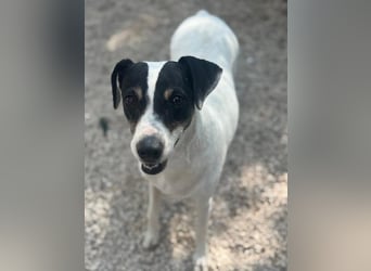 Pepa, menschenbezogen und sozial