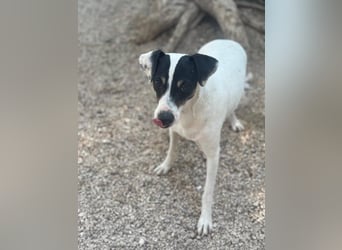 Pepa, menschenbezogen und sozial