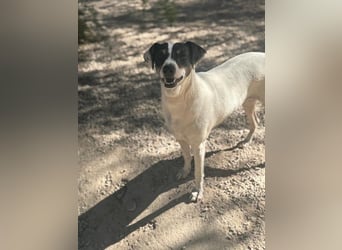 Pepa, menschenbezogen und sozial