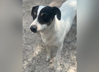 Pepa, menschenbezogen und sozial