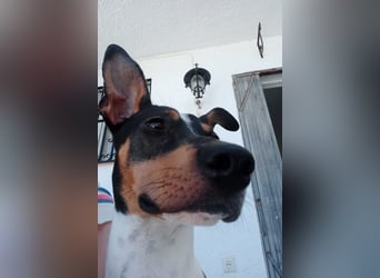 Lenny wünscht sich eine zweite Chance