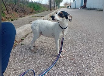 Fröhliche INGRID-wartet in 79106 Freiburg sehnsüchtig auf ihre Für-immer-Familie