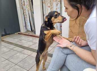 Unkomplizierte BRIGITTE-liebevoll, voller Vertrauen und mit Hoffnung auf ein lievevolles Zuhause