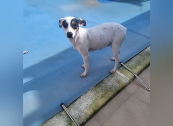 Fröhliche INGRID-wartet in 79106 Freiburg sehnsüchtig auf ihre Für-immer-Familie