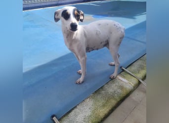 Fröhliche INGRID-wartet in 79106 Freiburg sehnsüchtig auf ihre Für-immer-Familie