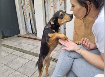 Unkomplizierte BRIGITTE-liebevoll, voller Vertrauen und mit Hoffnung auf ein lievevolles Zuhause