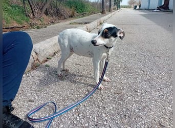 Fröhliche INGRID-wartet in 79106 Freiburg sehnsüchtig auf ihre Für-immer-Familie