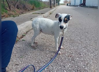 Fröhliche INGRID-wartet in 79106 Freiburg sehnsüchtig auf ihre Für-immer-Familie