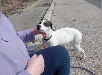 Fröhliche INGRID-wartet in 79106 Freiburg sehnsüchtig auf ihre Für-immer-Familie