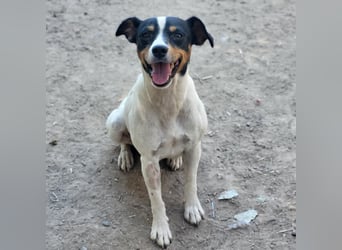 MAYA - lieber kleiner Sonnenschein