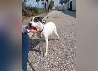 Fröhliche INGRID-wartet in 79106 Freiburg sehnsüchtig auf ihre Für-immer-Familie