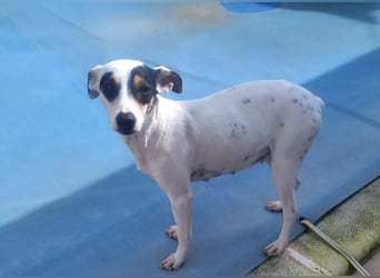 Fröhliche INGRID-wartet in 79106 Freiburg sehnsüchtig auf ihre Für-immer-Familie