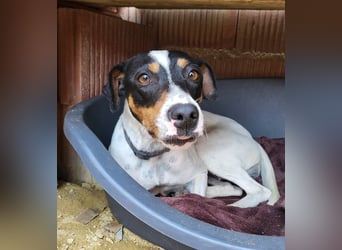 Maite - freundlich und liebenswert