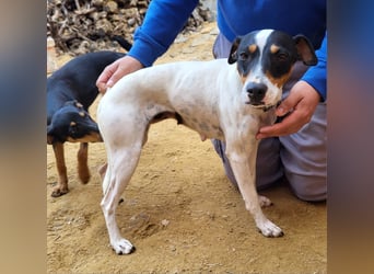 Maite - freundlich und liebenswert