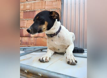 Redford - offen, sozial und lernwillig