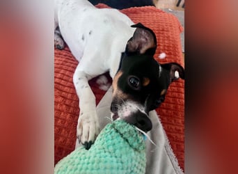 Redford - offen, sozial und lernwillig